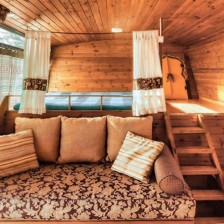 Zimmerbus 'Ezuz Exteriér fotografie